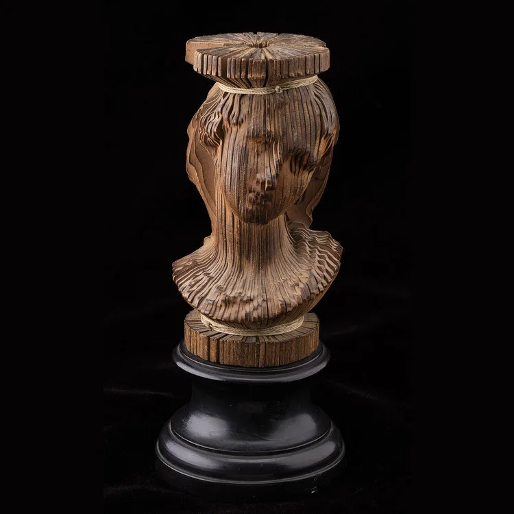 Solid Pictures: Photosculpture and the Making of Modern Likeness