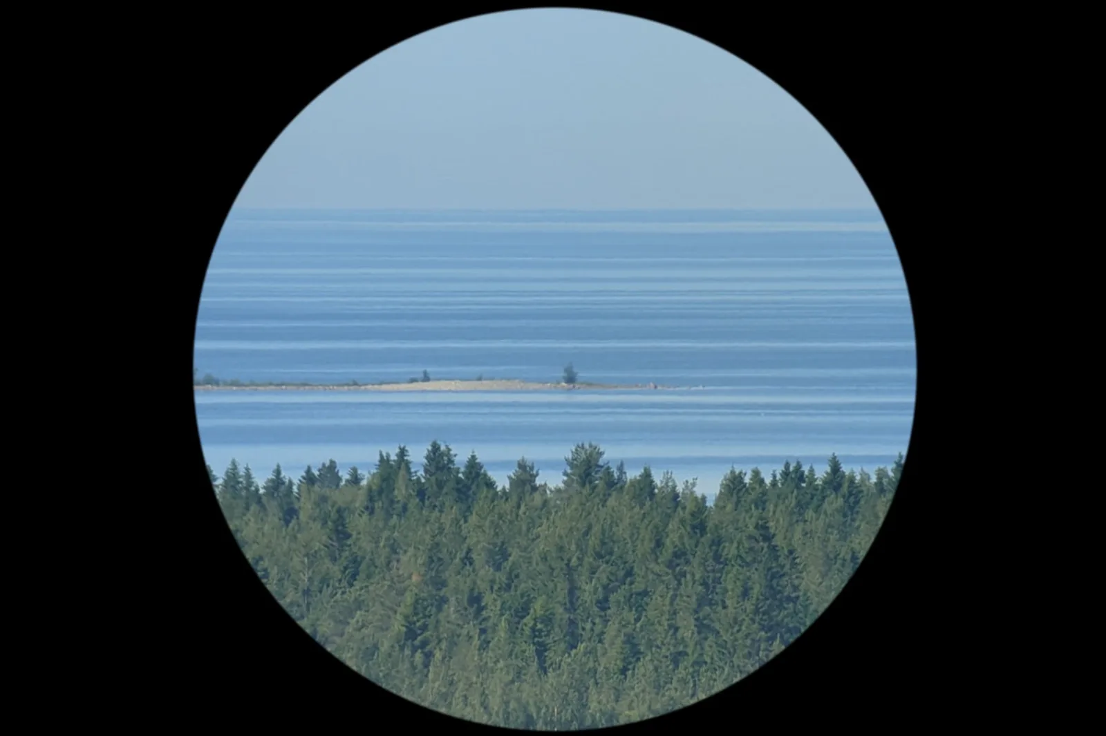 Salla Myllylä & Sari Palosaari: Chim