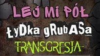 OPEN BEER FESTIWAL: Łydka Grubasa, Lej Mi Pół, Transgresja