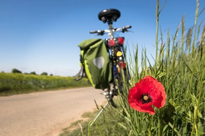 Balades découvertes du territoire à vélo