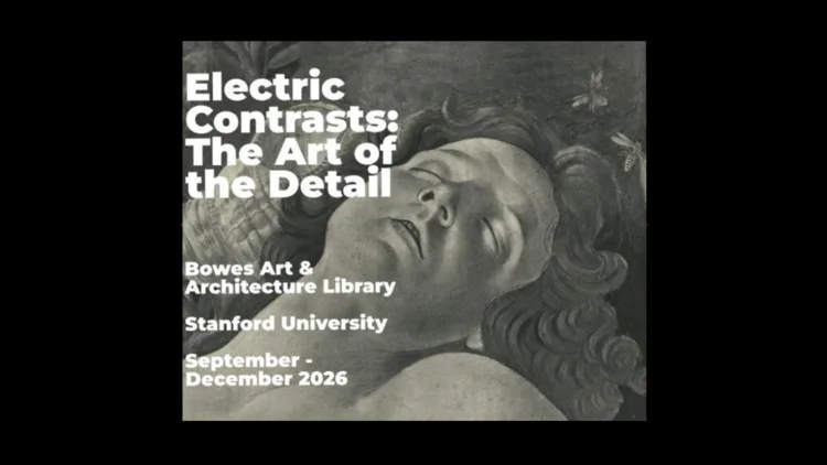 Electric Contrasts: the Art of the Detail
