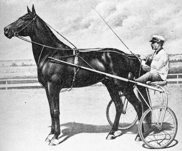 "Dan Patch: The 20th Century's Greatest Forgotten Celebrity"