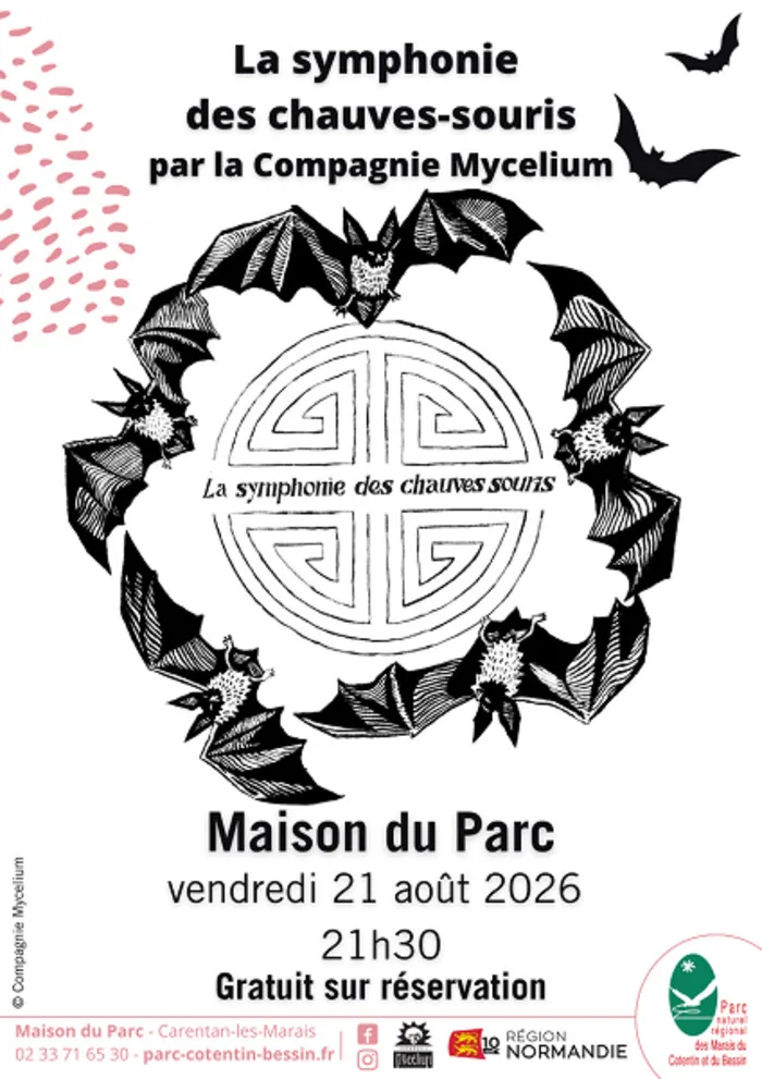 La Symphonie des Chauves-souris