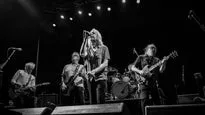 The Saints ’73 - ’78 + The New Christs