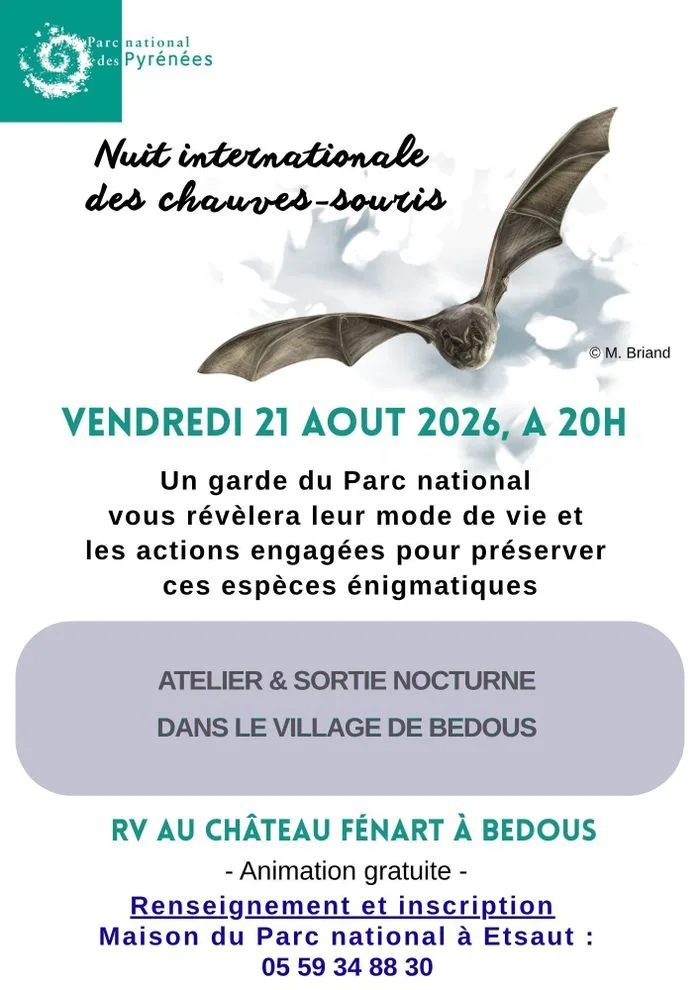 Nuit internationale des Chauves-souris en Aspe