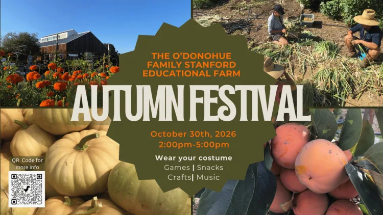 Autumn Farm Festival - The O'Donohue Family Stanford Educational Farm