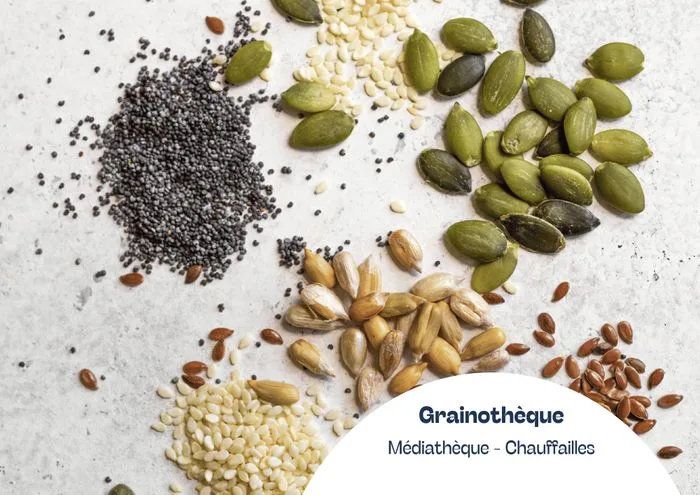 La grainothèque arrive !