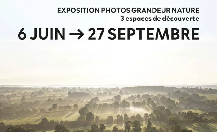 Exposition en plein air : destination Saint-Lô, l'émotion d'un instant