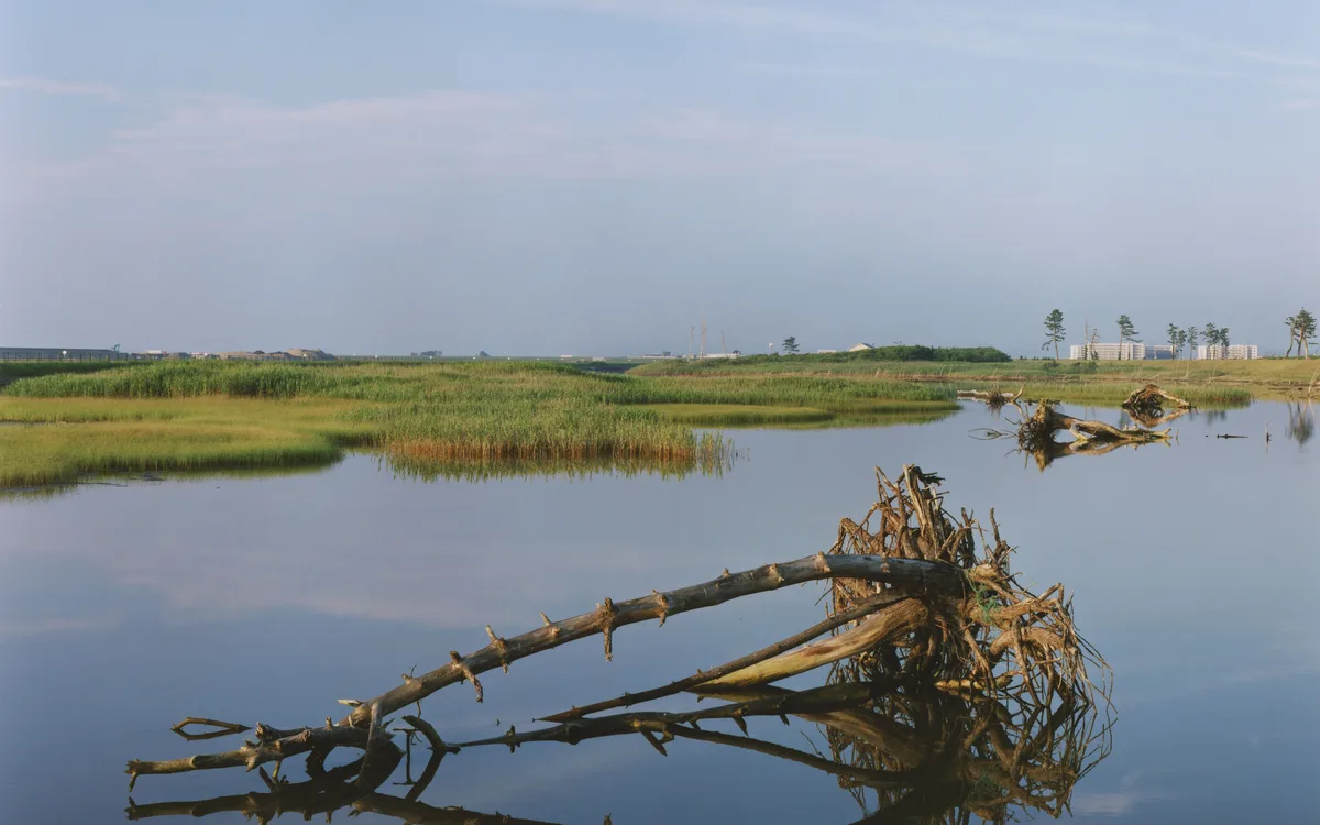 Conférence « Tsunami Trees：Naoya Hatakayema : Après la catastrophe »