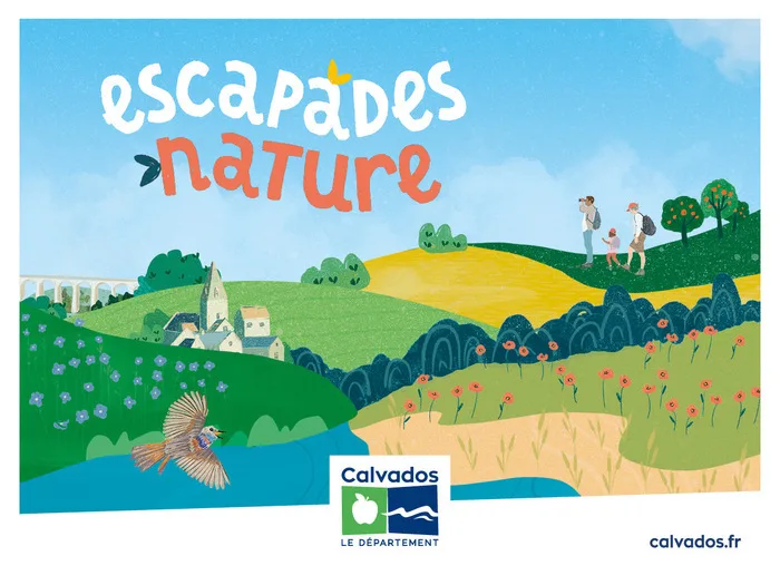 A la rencontre des papillons du mont Canisy