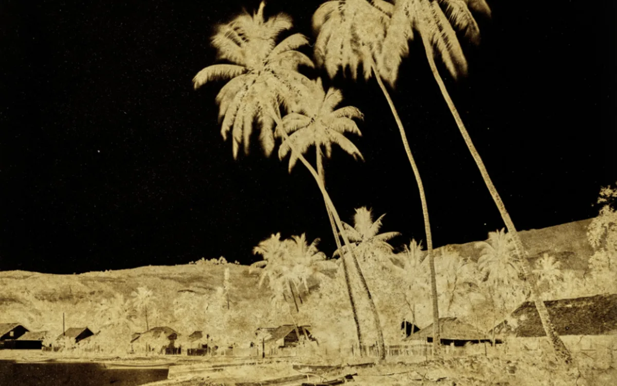 Voir Tahiti. Premières photographies 1859-1870