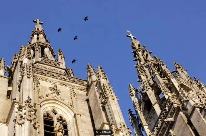 Visite guidée de la Basilique de l'Epine