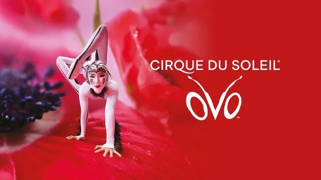Cirque du Soleil - OVO