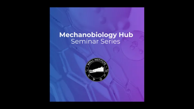 Mechanobiology Hub Seminar: Engineering Women’s Health through Mechanobiology
