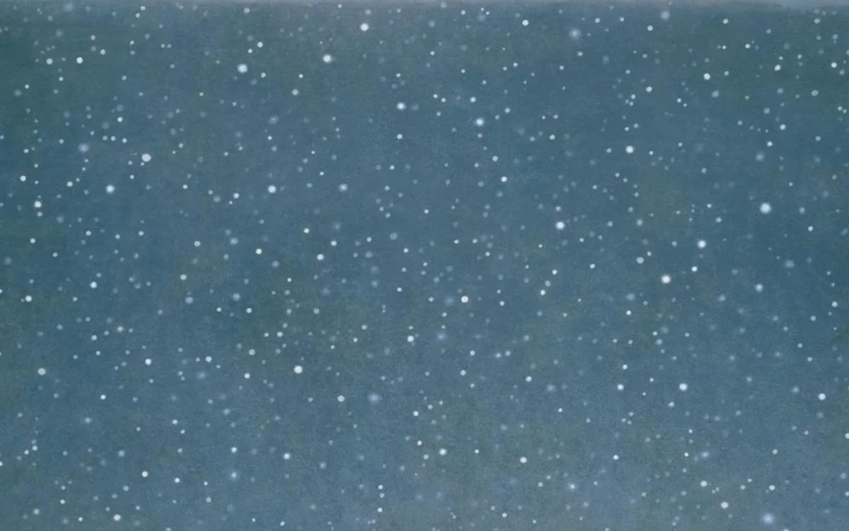 Contrepoint contemporain. Vija Celmins