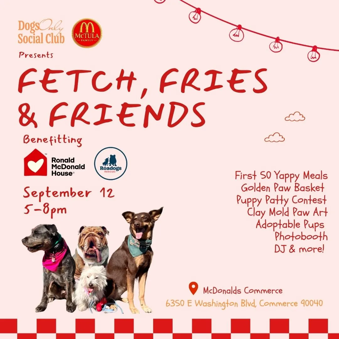 Fetch, Fries & Friends