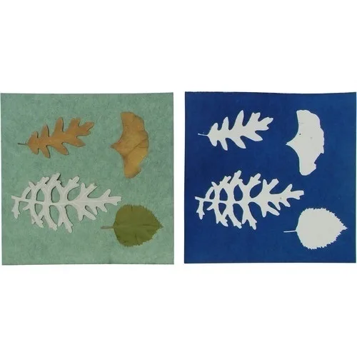 Cyanotypes