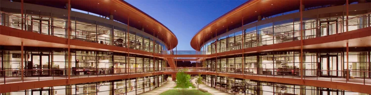 Microbiology & Immunology Wednesday Seminar:  Dassama & Yeh Labs, Casey Mendoza Decosto "Ligand-guided discovery of a lipid-binding beta propeller lipoprotein in Treponema pallidum" and Stefano Lometto "Surviving the kill: a CRISPR screen for diatom resis