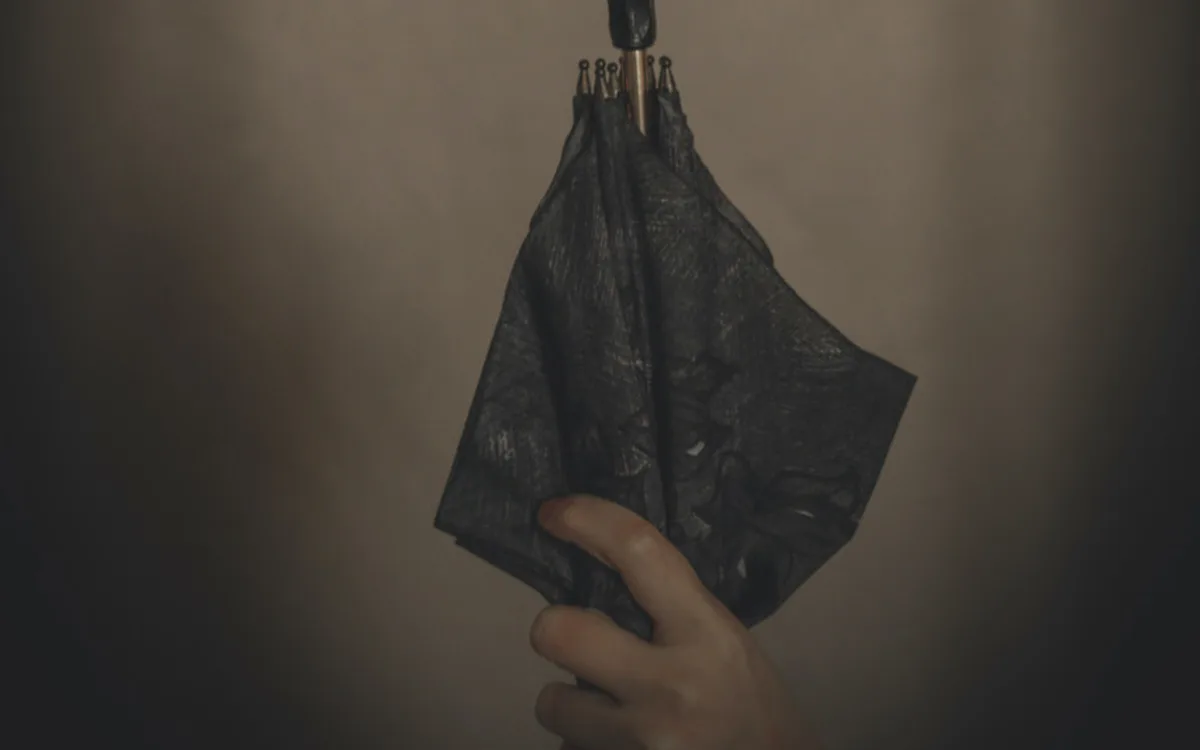 Le Parapluie de Rosa Parks : journées du matrimoine