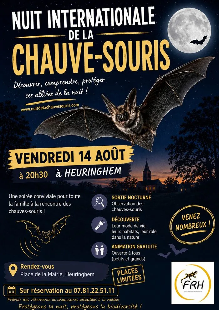 Nuit Internationale de la Chauve-souris à Heuringhem