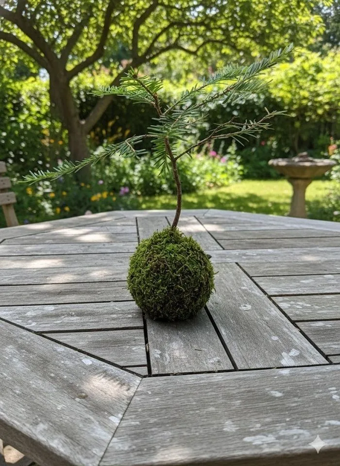 ANNULÉ - Atelier Kokedama – les jardins suspendus