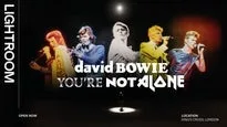 David Bowie: You're Not Alone