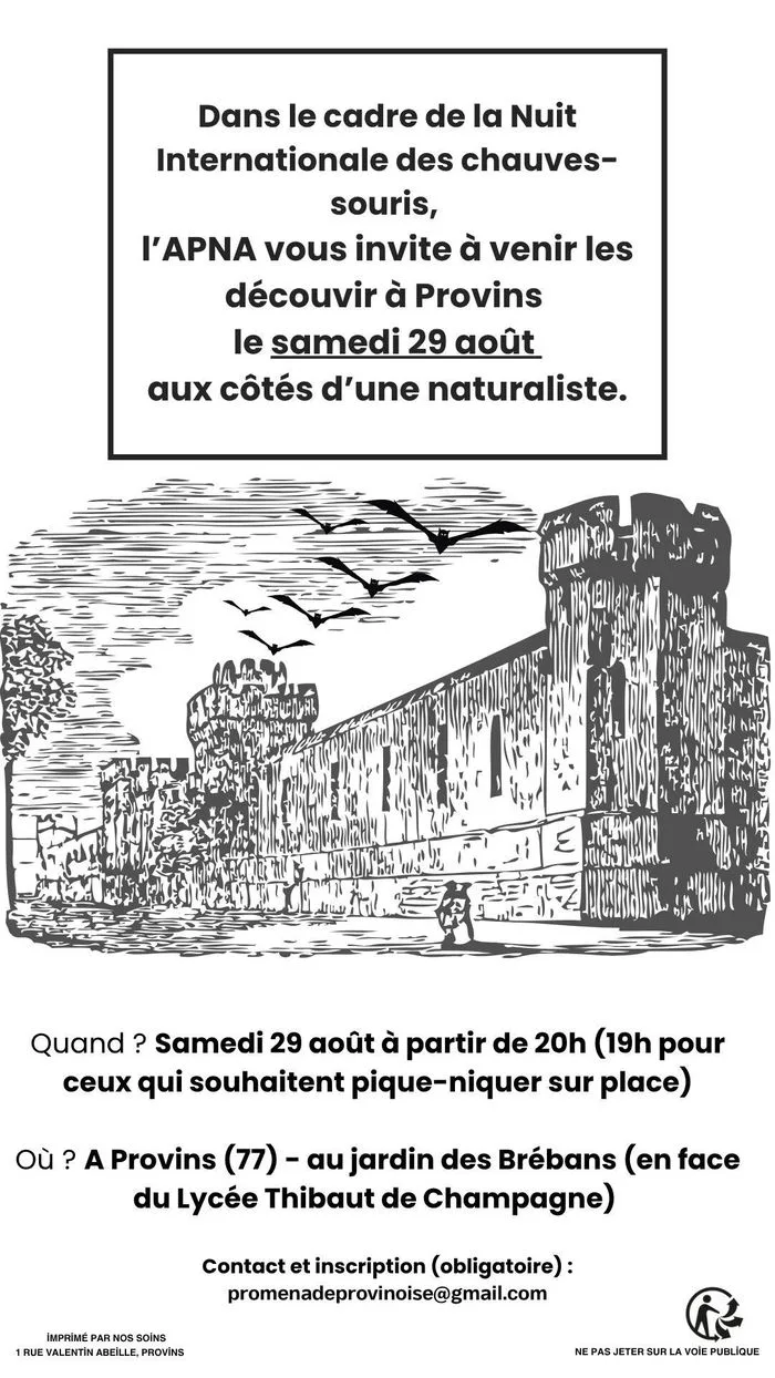 A la découverte des chauves-souris