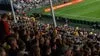 Wellington Phoenix Double-Header