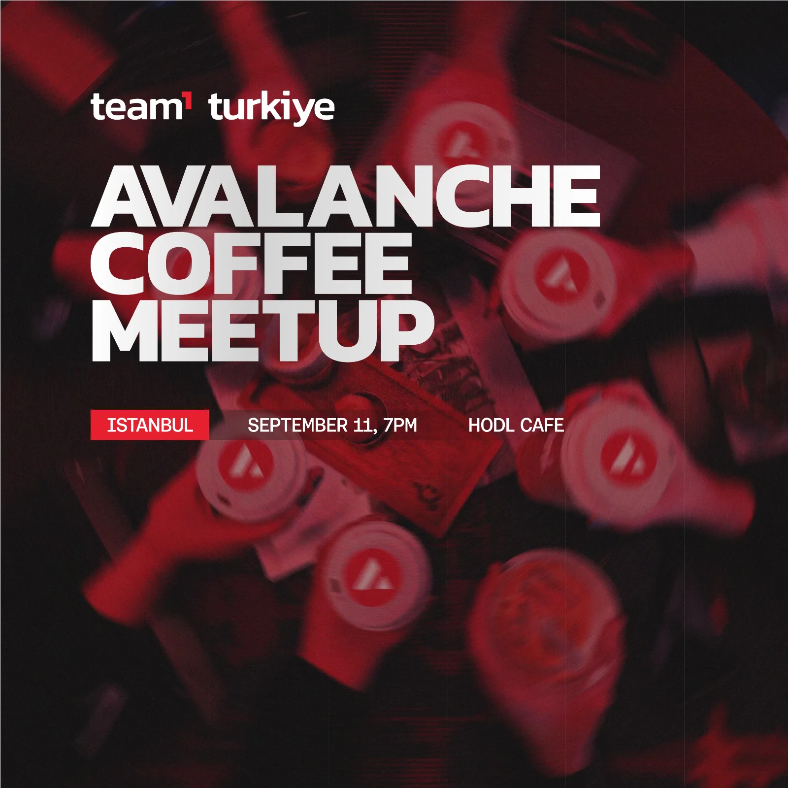 Team1 Turkiye - Avalanche Coffee Meetup, Istanbul