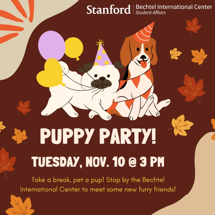 Puppy Party