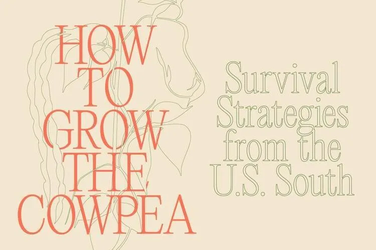 How to Grow the Cowpea: Survival Strategies from the U.S. South