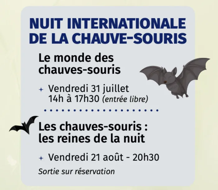 Les chauves-souris : les reines de la nuit