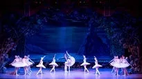 The International Ballet Company Berlin opfører Svanesøen