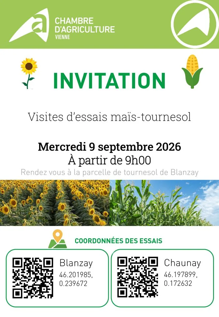 Visites d’essais maïs-tournesol