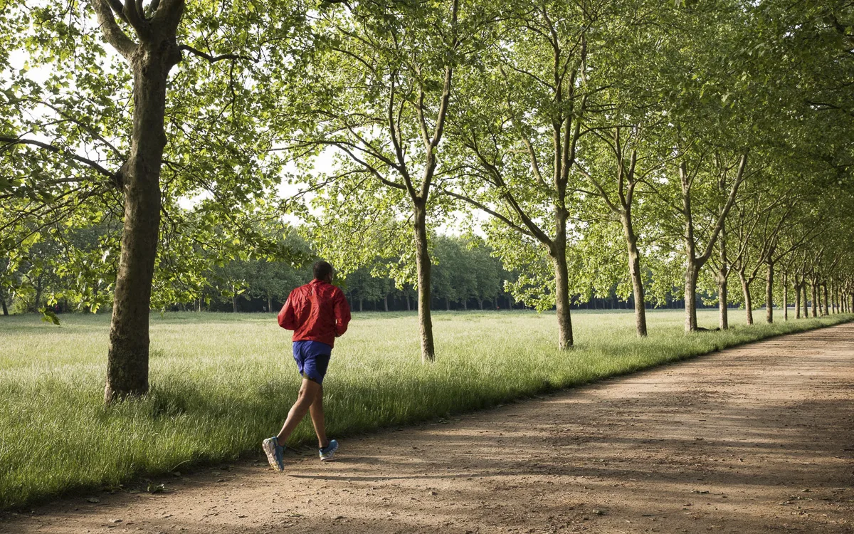 Inscrivez-vous au Viti-trail 2026