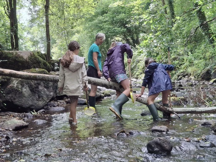 Que de vie dans la rivière !