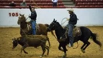 Verner RAM Rodeo 2026 - WEEKEND PASS