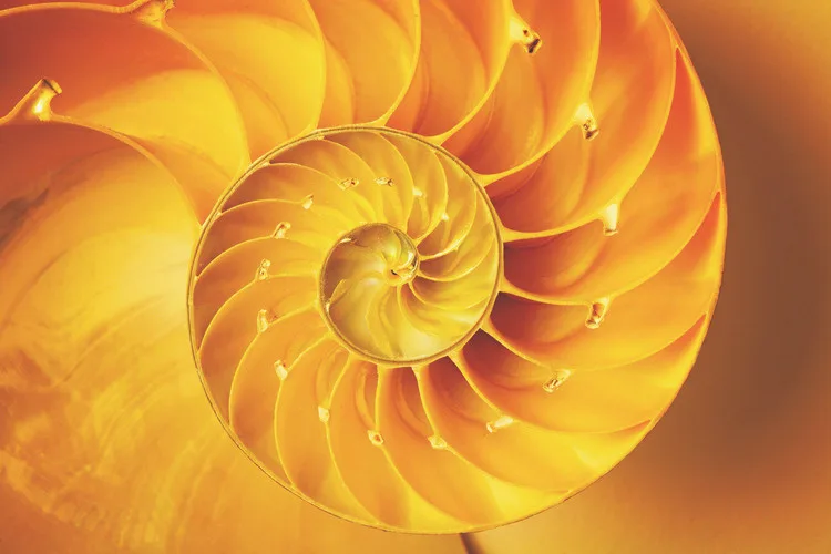 Sound Bath Meditation with the Let’s Meditate Initiative