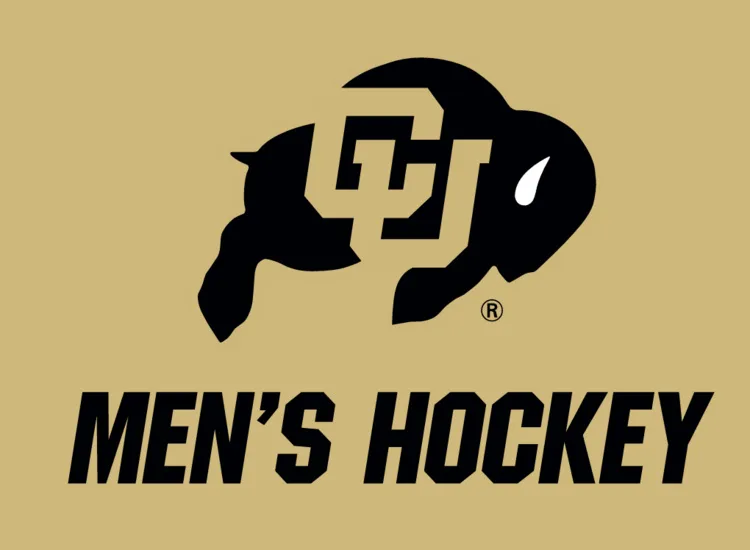 Men's Club Ice Hockey (D1) vs Arizona