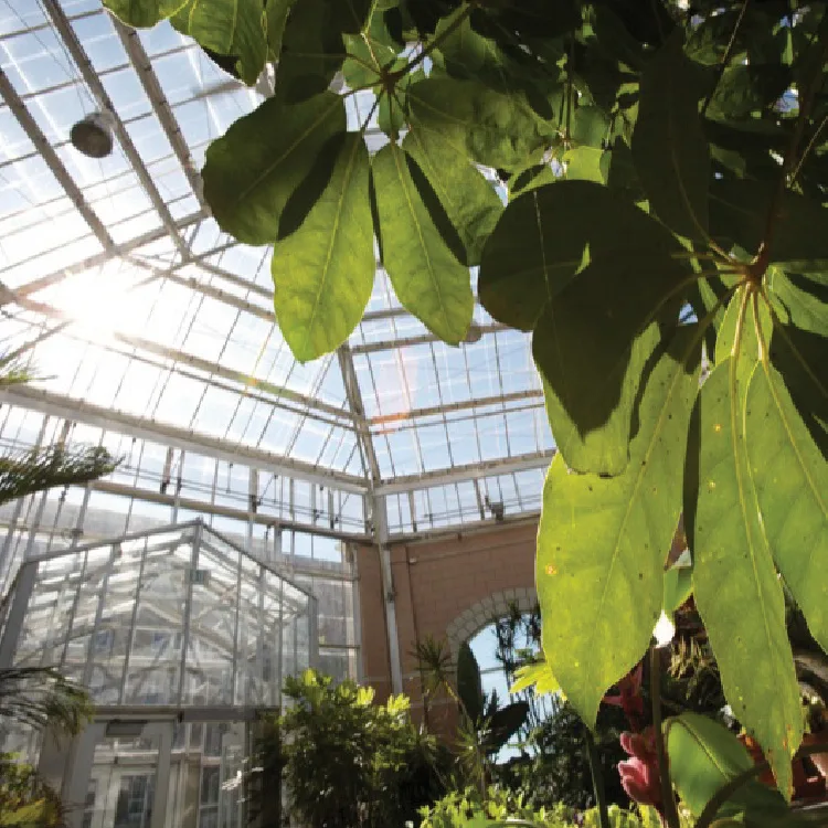 Halloween at The Conservatory