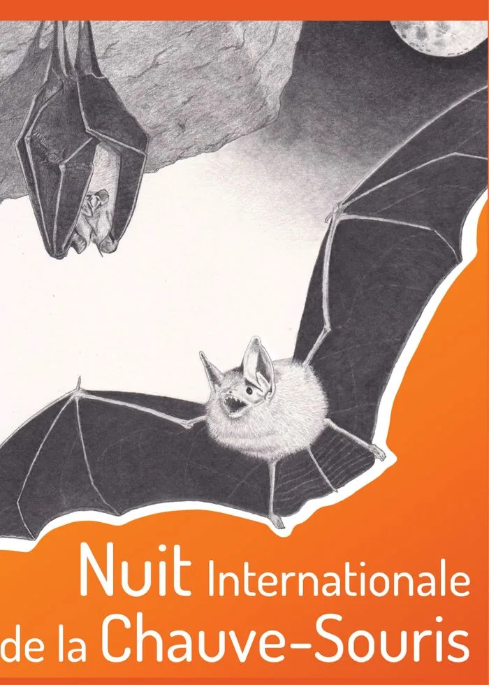 Nuit des chauves-souris
à Gambaiseuil