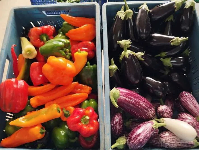 Marché de producteurs locaux