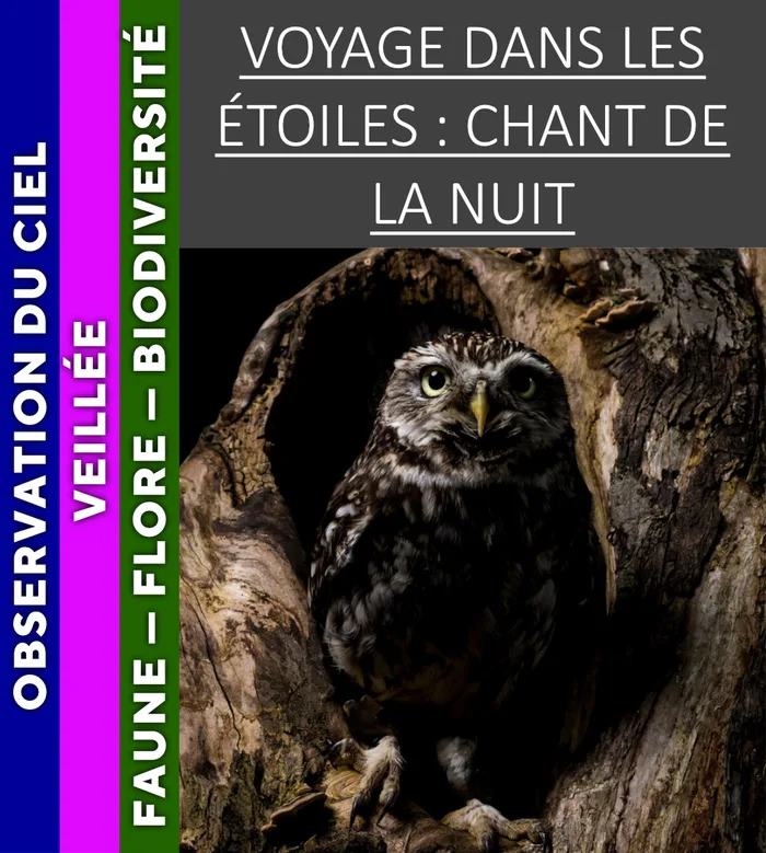 VERCORS - Voyage dans les étoiles : chant de la nuit