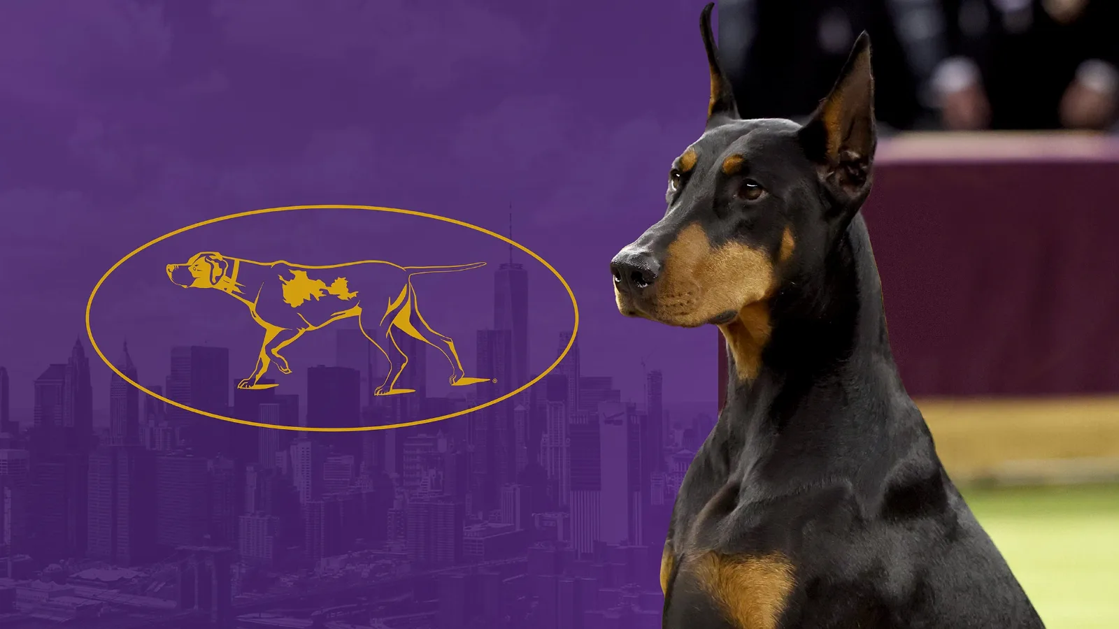 151st Westminster Kennel Club Dog Show - Monday Night Only