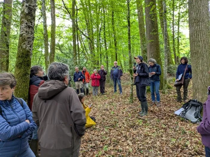 Caractériser les forêts anciennes et matures du Limousin