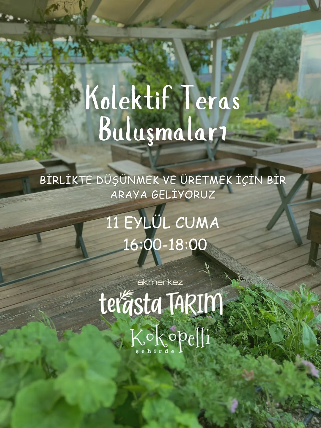Kolektif Teras Buluşmaları