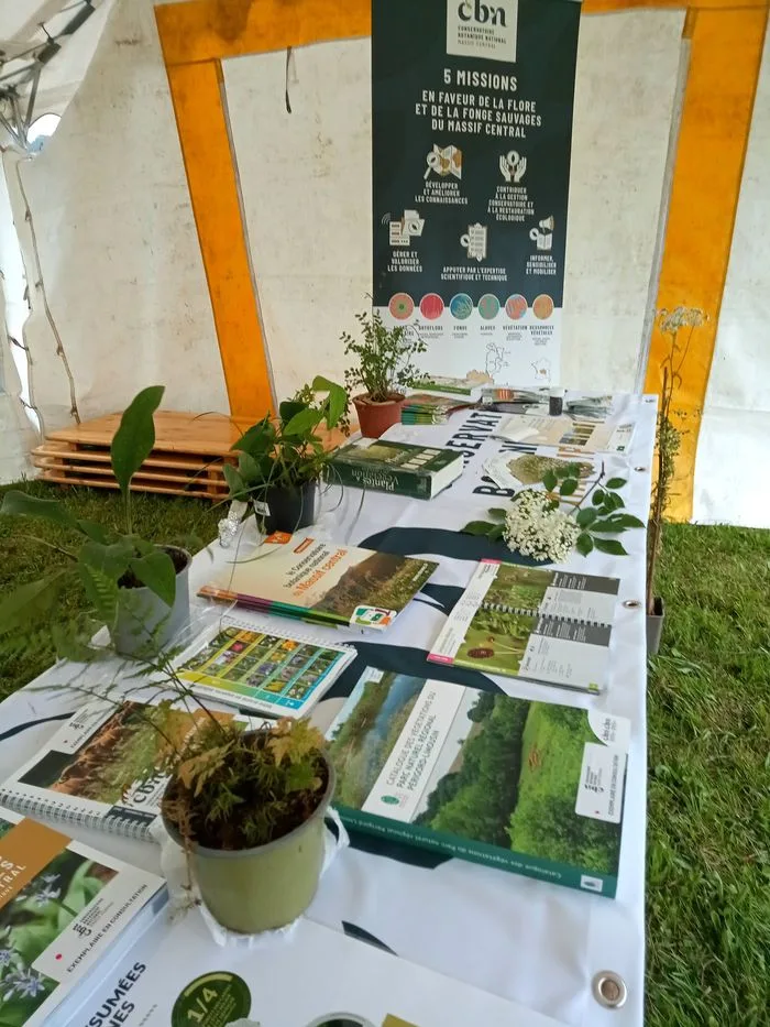 Stand : Les plantes sauvages et locales