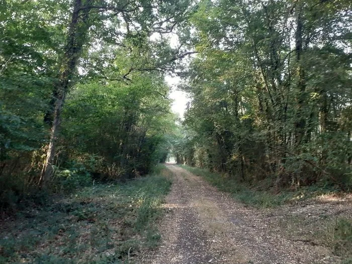 Randonnée « Par nos chemins »