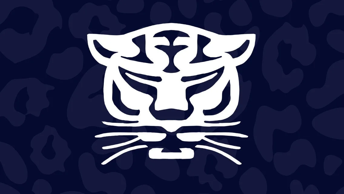 Birmingham Panthers VS Leeds Rhinos