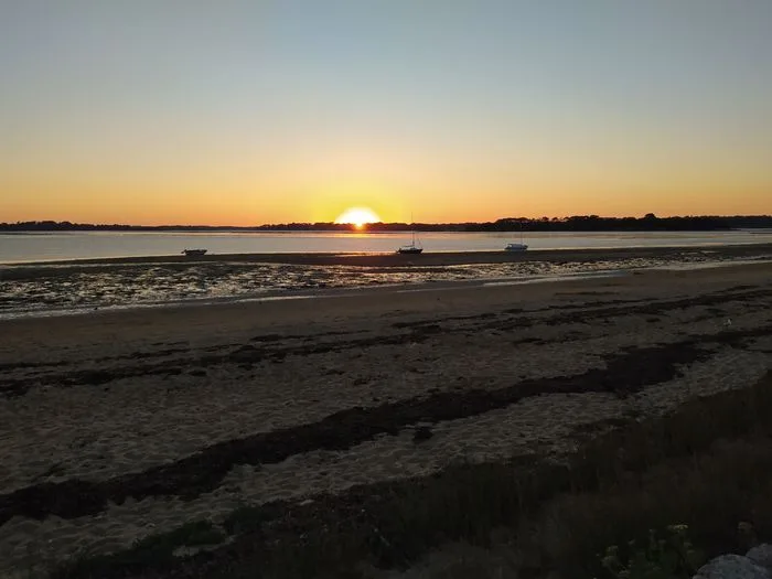 Balade nature en bateau semi-rigide à la tombée du jour dans le golfe du Morbihan